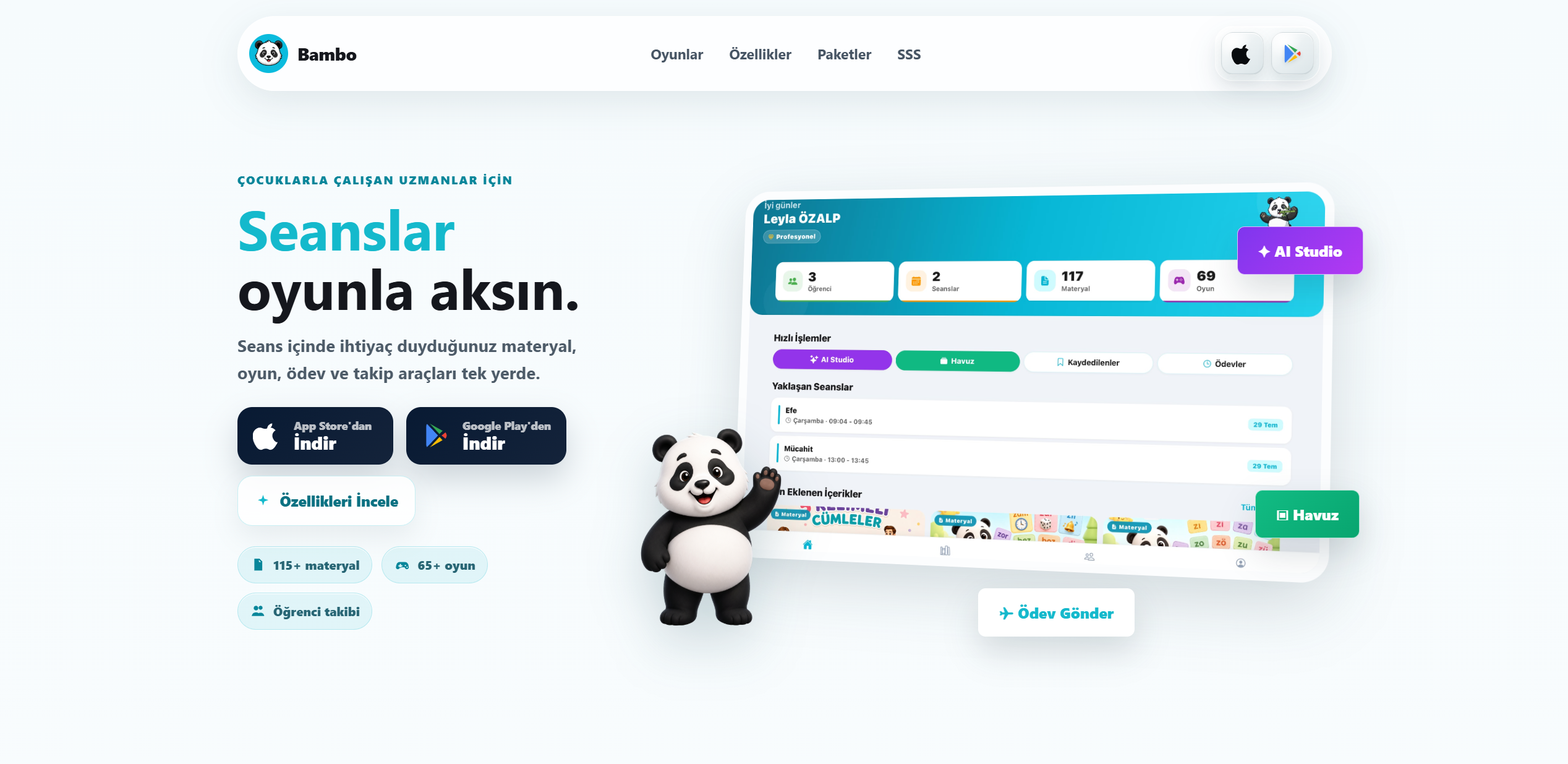 Bambo web projesi