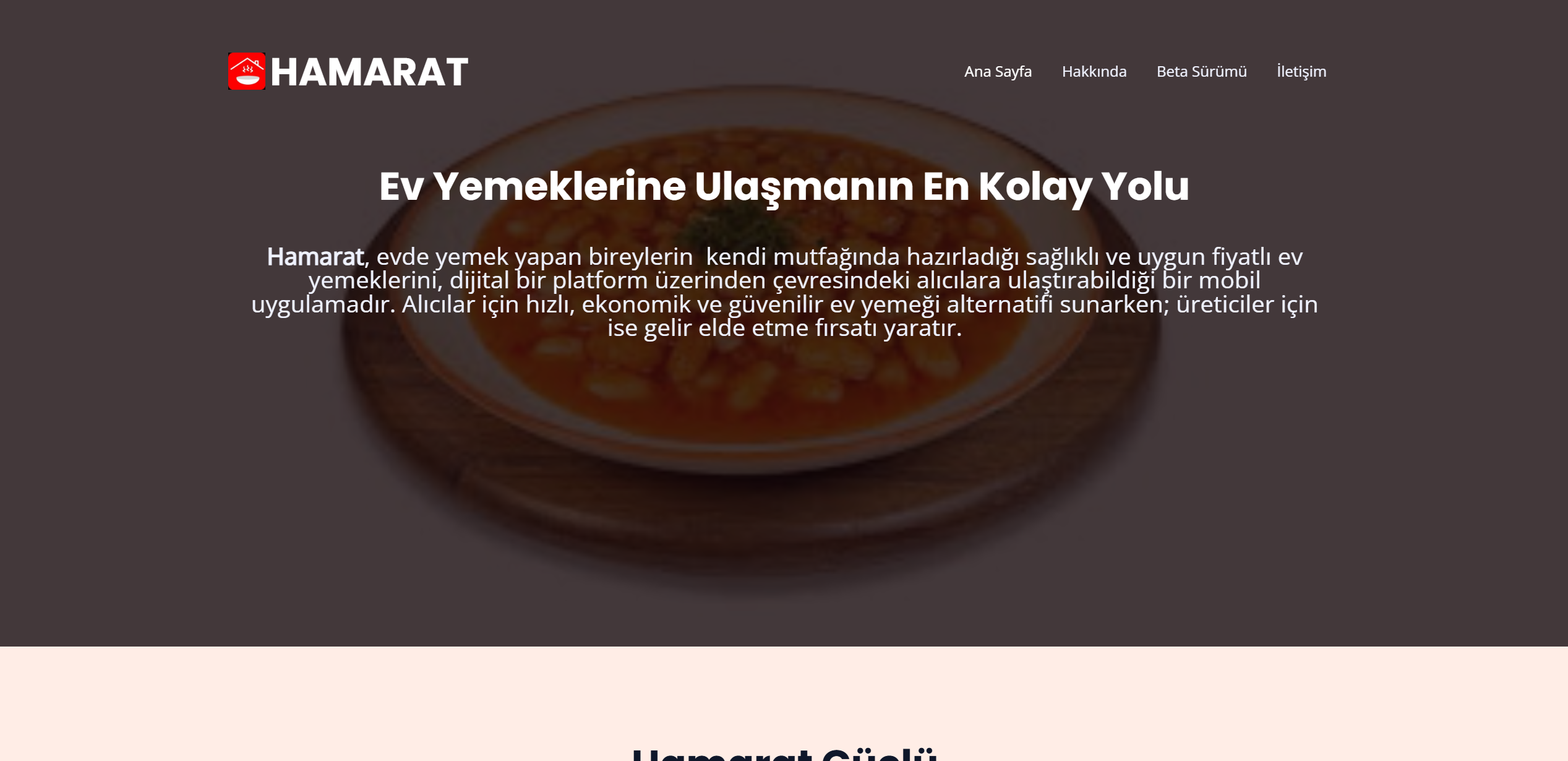 Hamarat web projesi